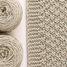 Load image into Gallery viewer, Moss Landing Blanket Yarn Kits • Cascade 128 Yarn & Pattern Feather Grey 875