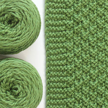 Load image into Gallery viewer, Moss Landing Blanket Yarn Kits • Cascade 128 Yarn & Pattern Moss 841