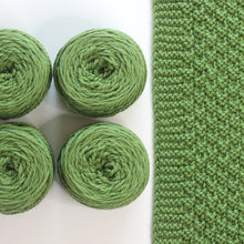 Load image into Gallery viewer, Moss Landing Blanket Yarn Kits • Cascade 128 Yarn & Pattern Moss 841