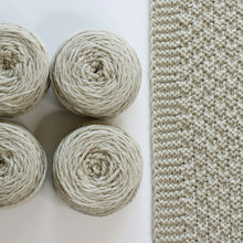 Load image into Gallery viewer, Moss Landing Blanket Yarn Kits • Cascade 128 Yarn & Pattern Feather Grey 875