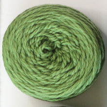 Load image into Gallery viewer, Moss Landing Blanket Yarn Kits • Cascade 128 Yarn &amp; Pattern Moss 841 Add-On Extra Yarn Balls
