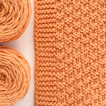 Load image into Gallery viewer, Moss Landing Blanket Yarn Kits • Cascade 128 Yarn &amp; Pattern Peach Cobbler 304
